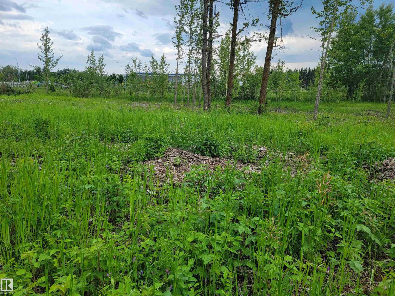 Third Avenue Range Rd 222 (sec Hwy 824) Property Photo 32