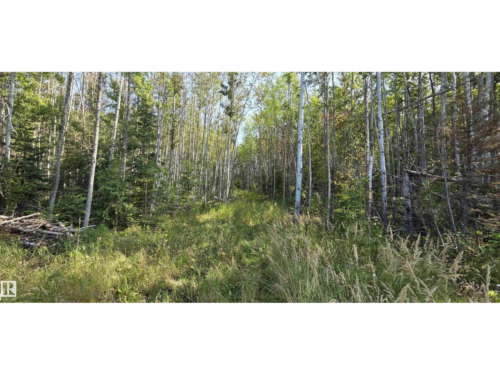 720027 Rge Rd 170.5a (wandering River) Property Photo 4