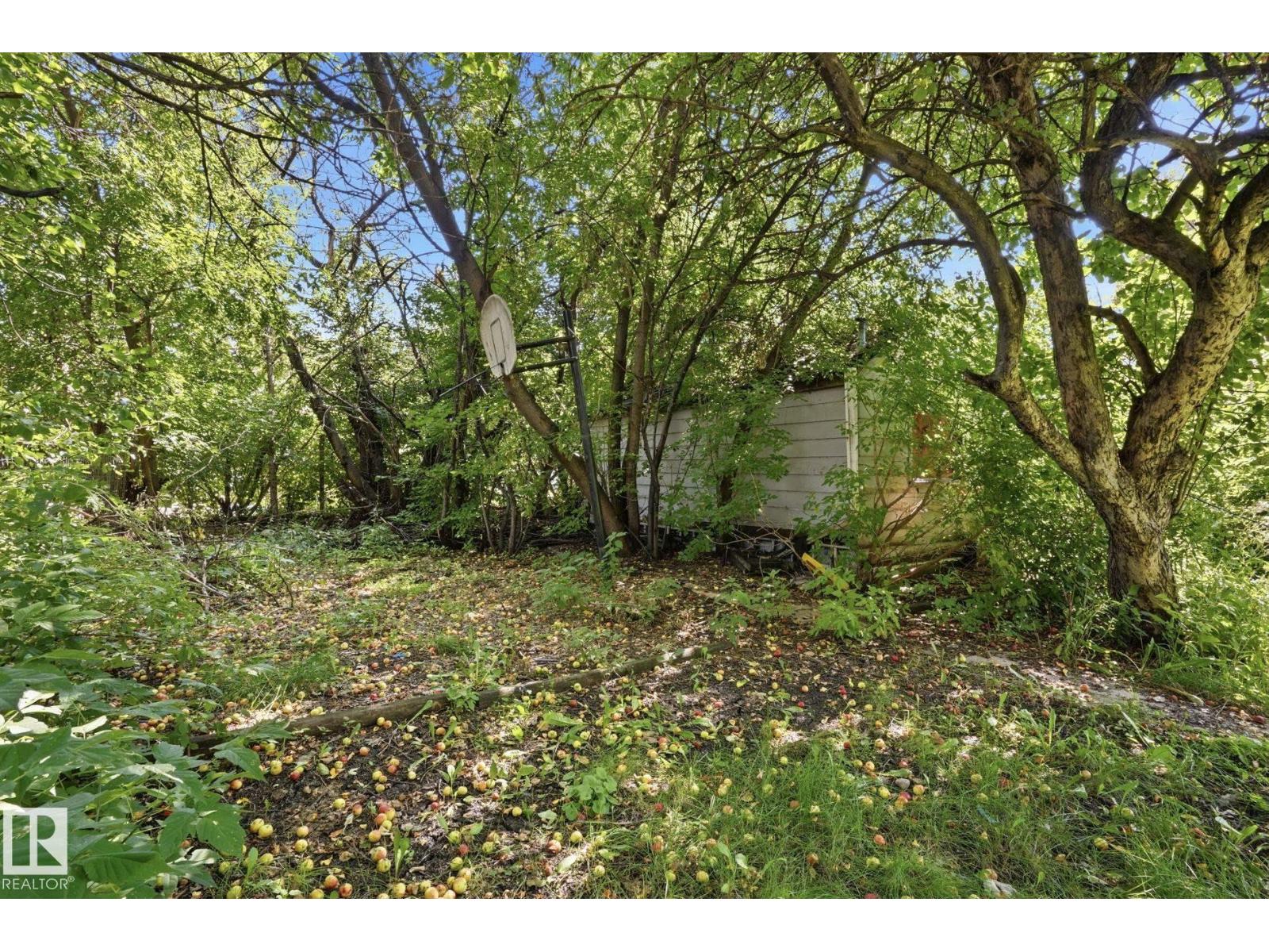 11611 128 St Nw Nw Property Photo 6