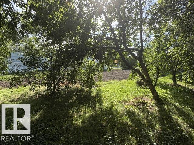 5005 51 St Property Photo 5