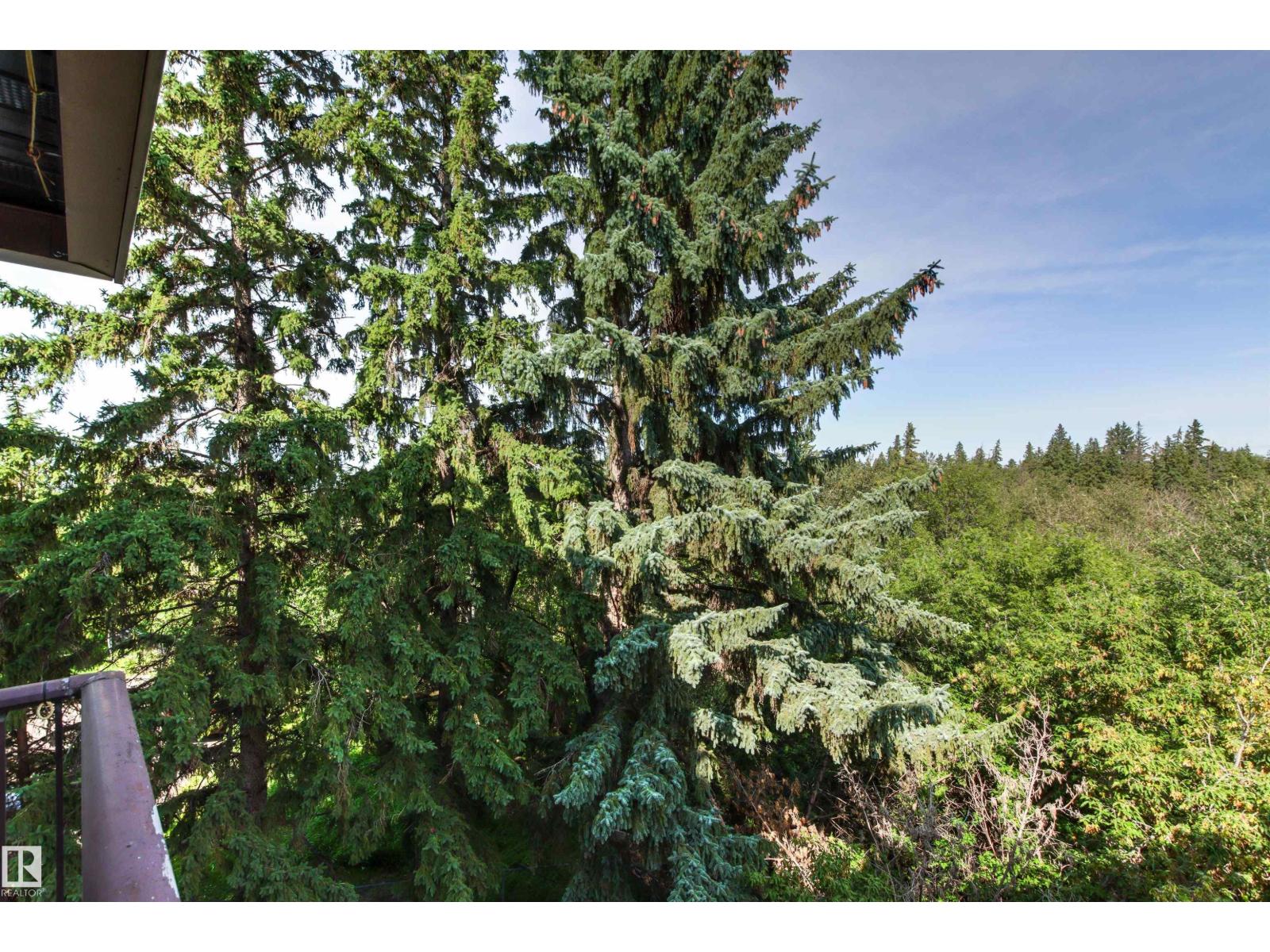 #301 9505 77 Av Nw Property Photo 47