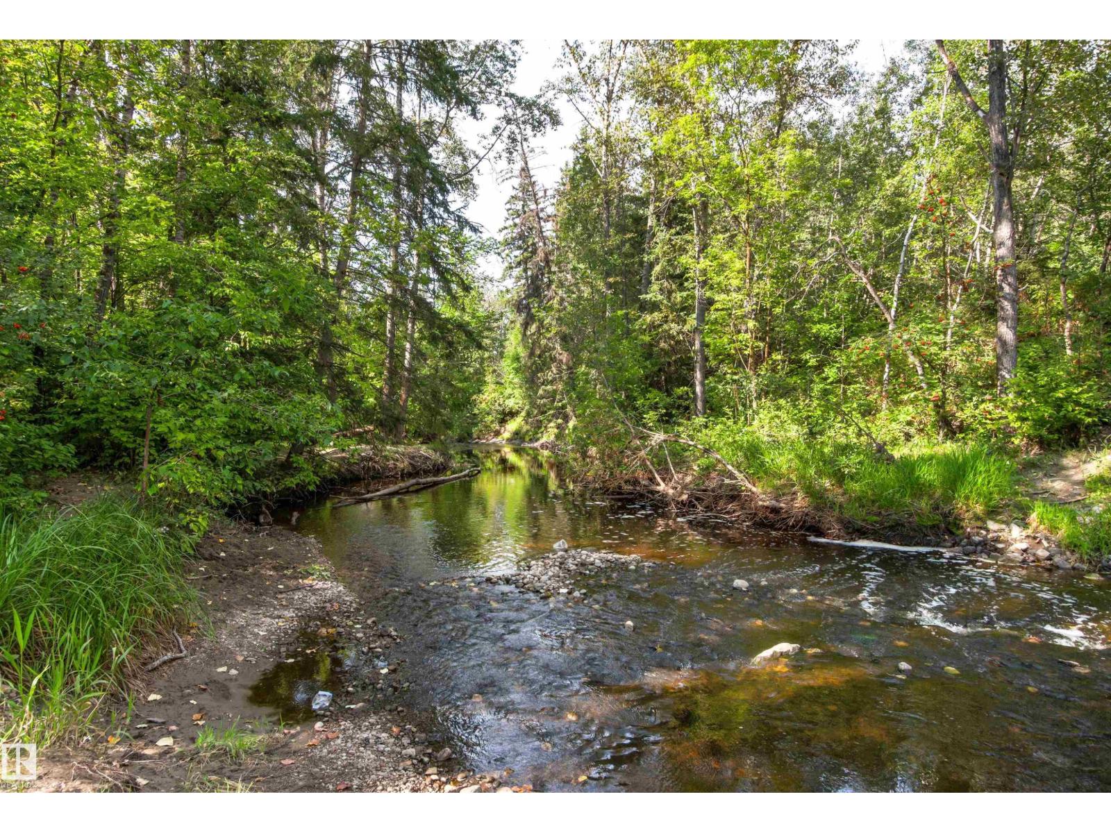 #301 9505 77 Av Nw Property Photo 62