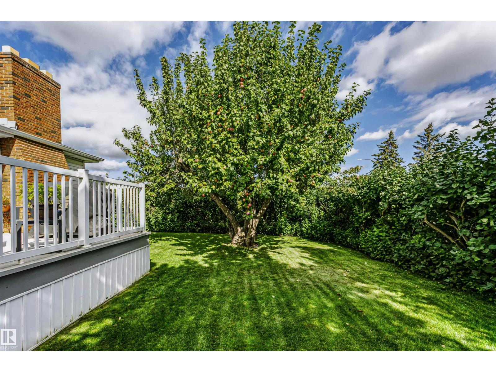 13503 135 Av Nw Property Photo 49