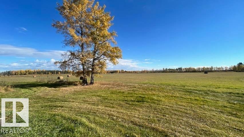 10005 Twp Rd 533 Property Photo 3