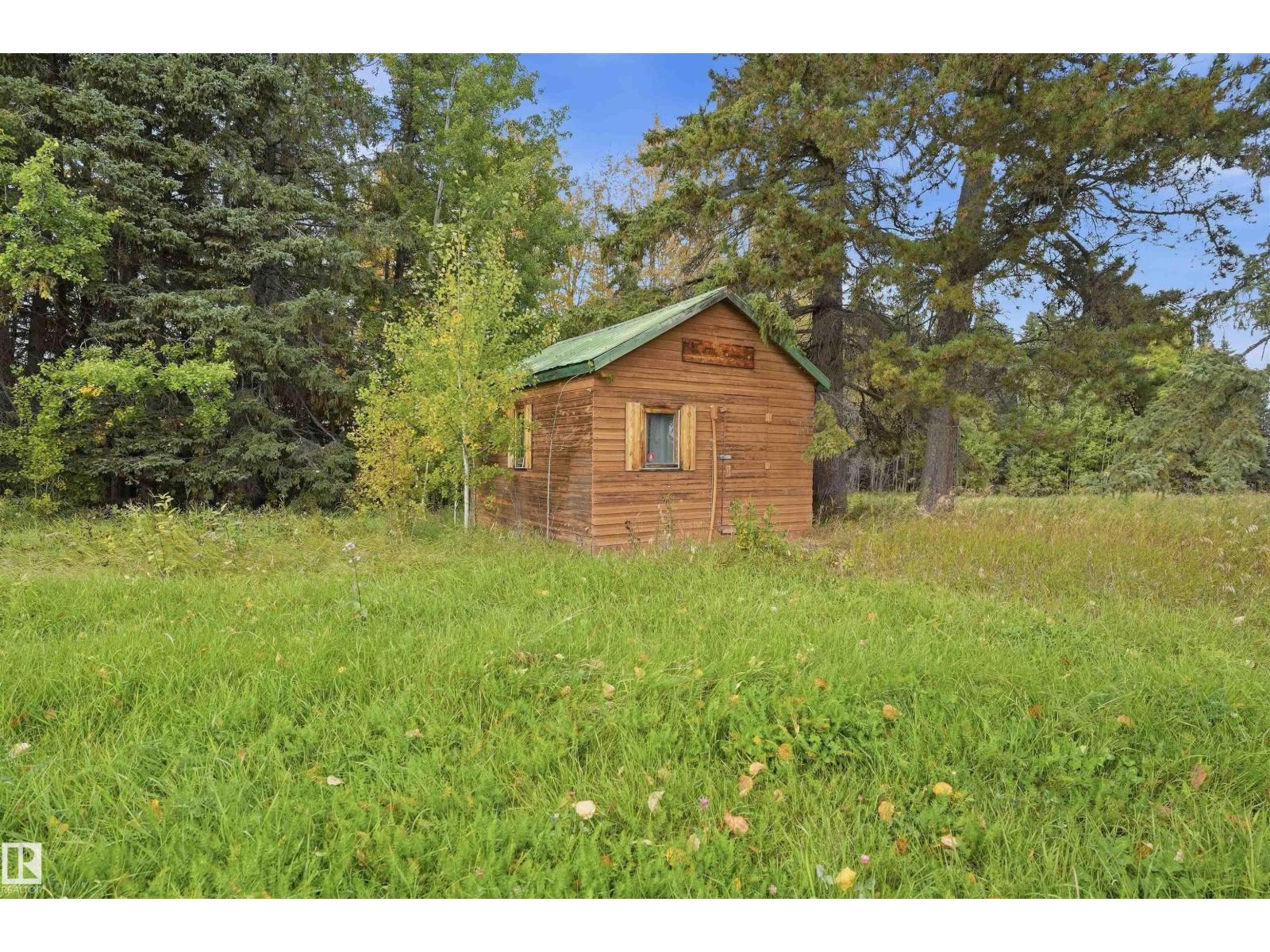 10005 Twp Rd 533 Property Photo 38