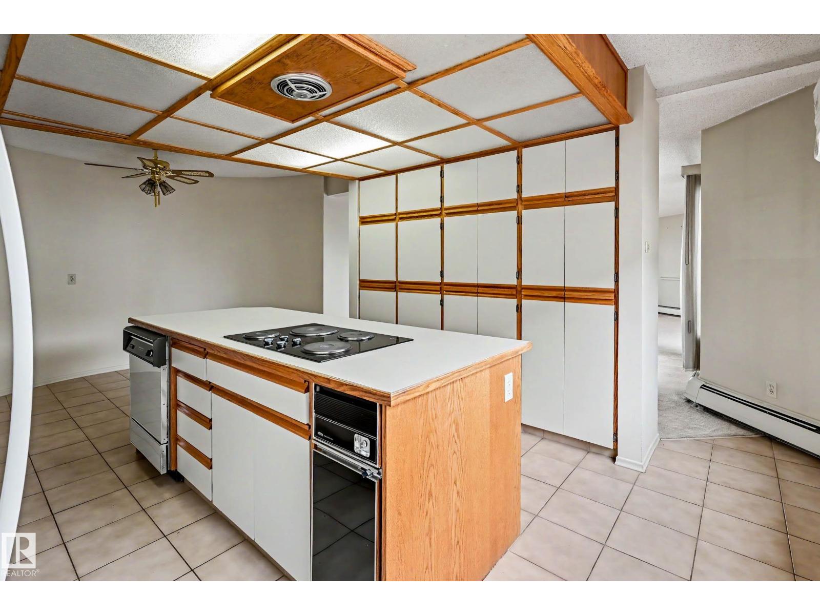 #3 9734 111 St Nw Property Photo 8