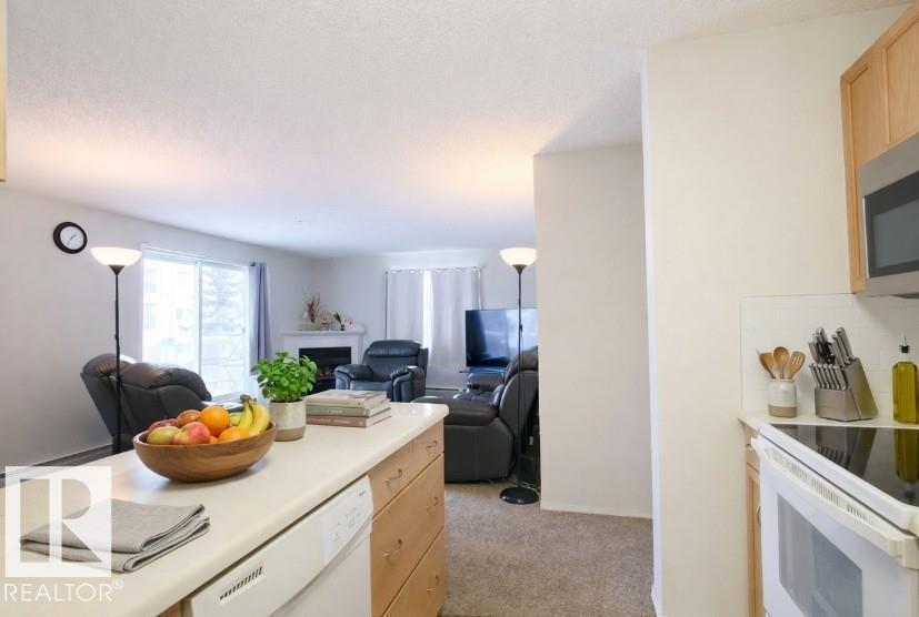 #226 10511 42 Av Nw Property Photo 11