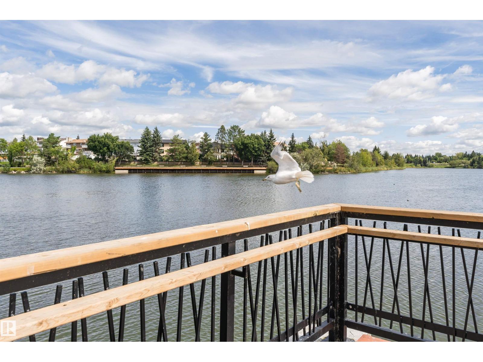 15903 111 St Nw Property Photo 53