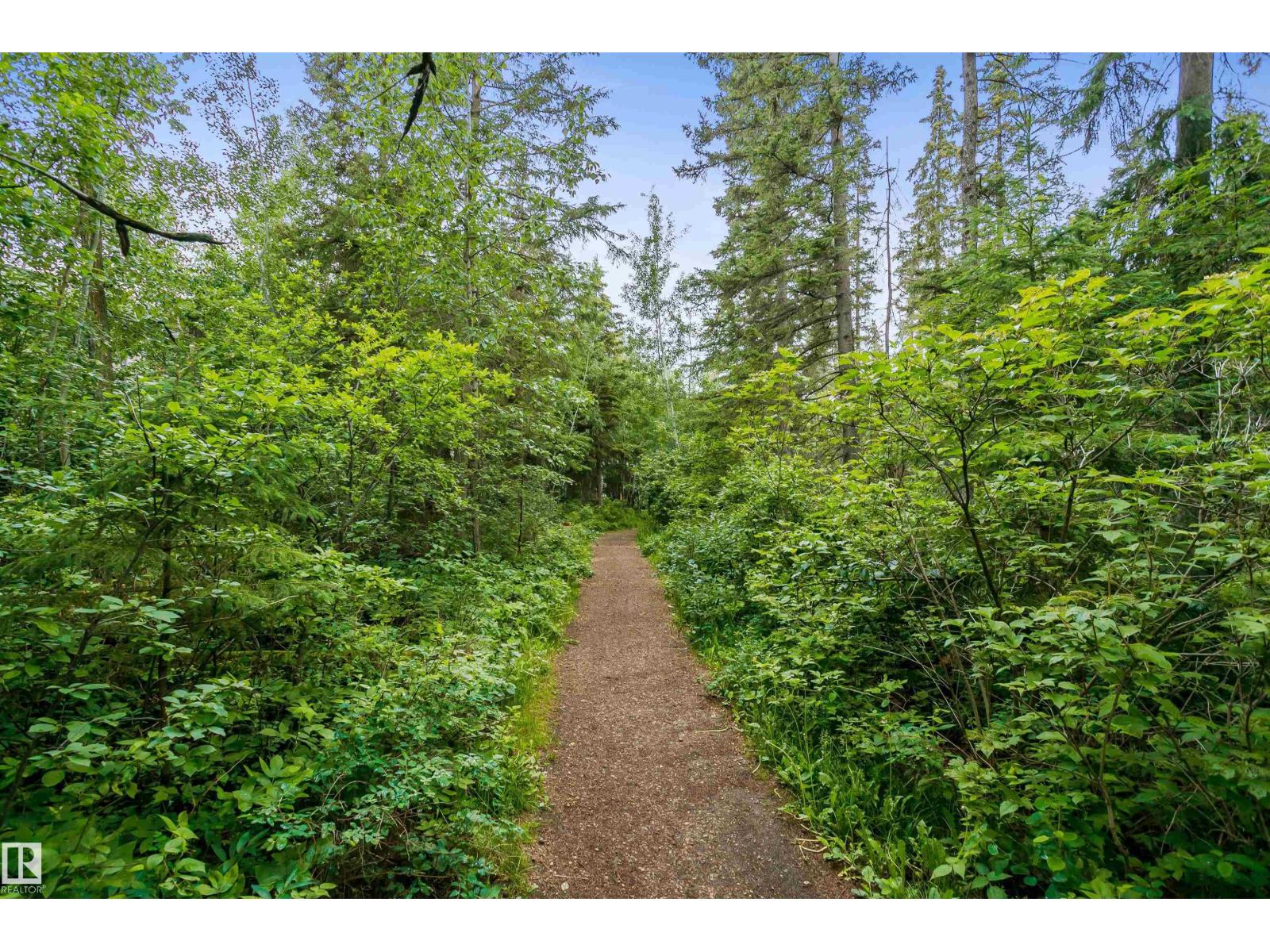 12051 18 Av Sw Sw Property Photo 41