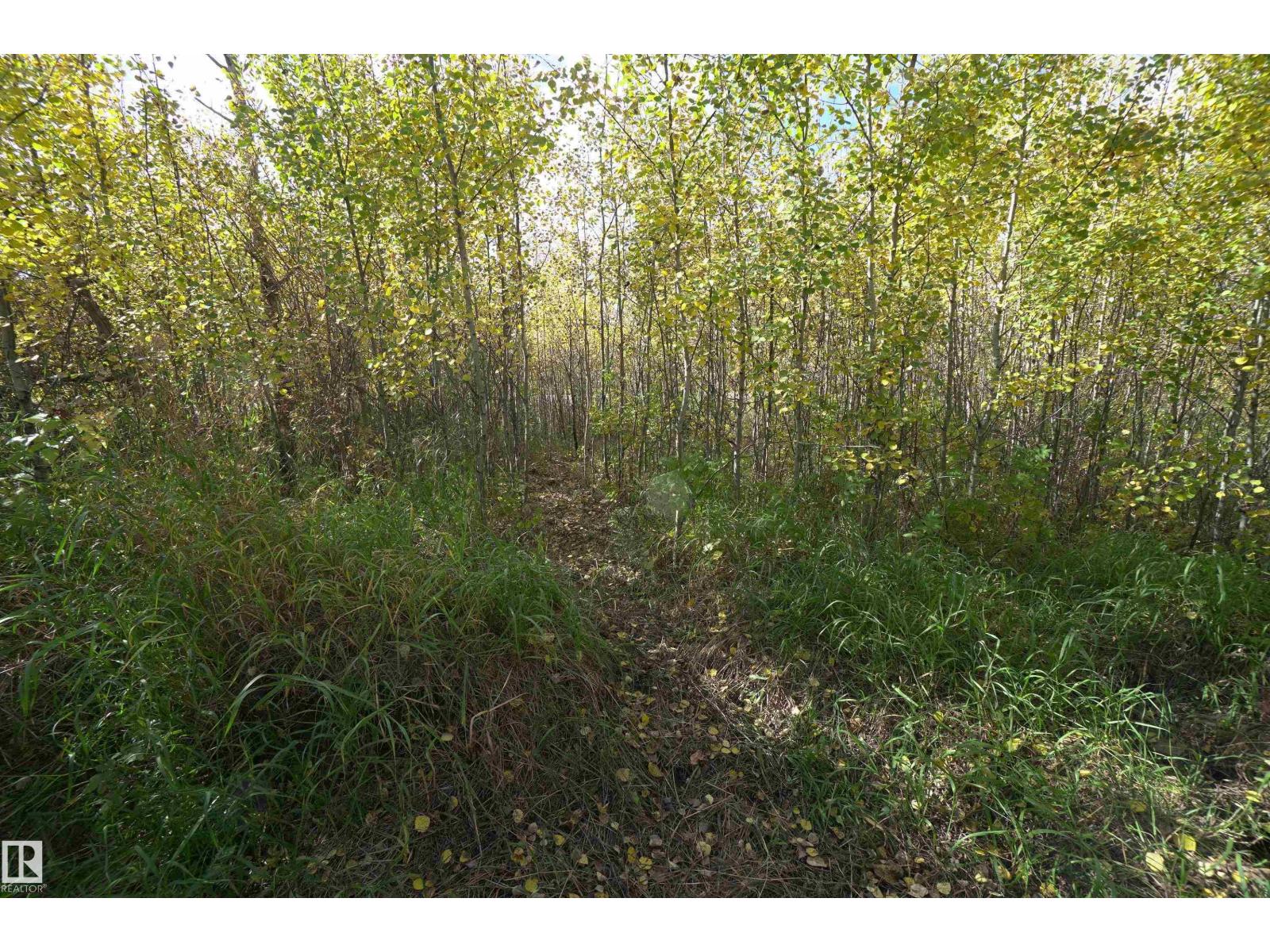 Sw-34-59-12-4 Property Photo 26