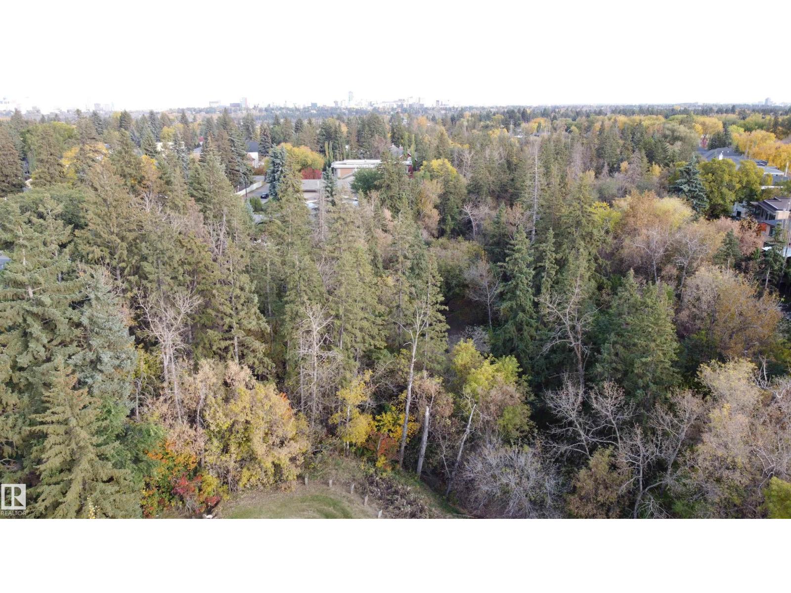 9333 146 St Nw Property Photo 52