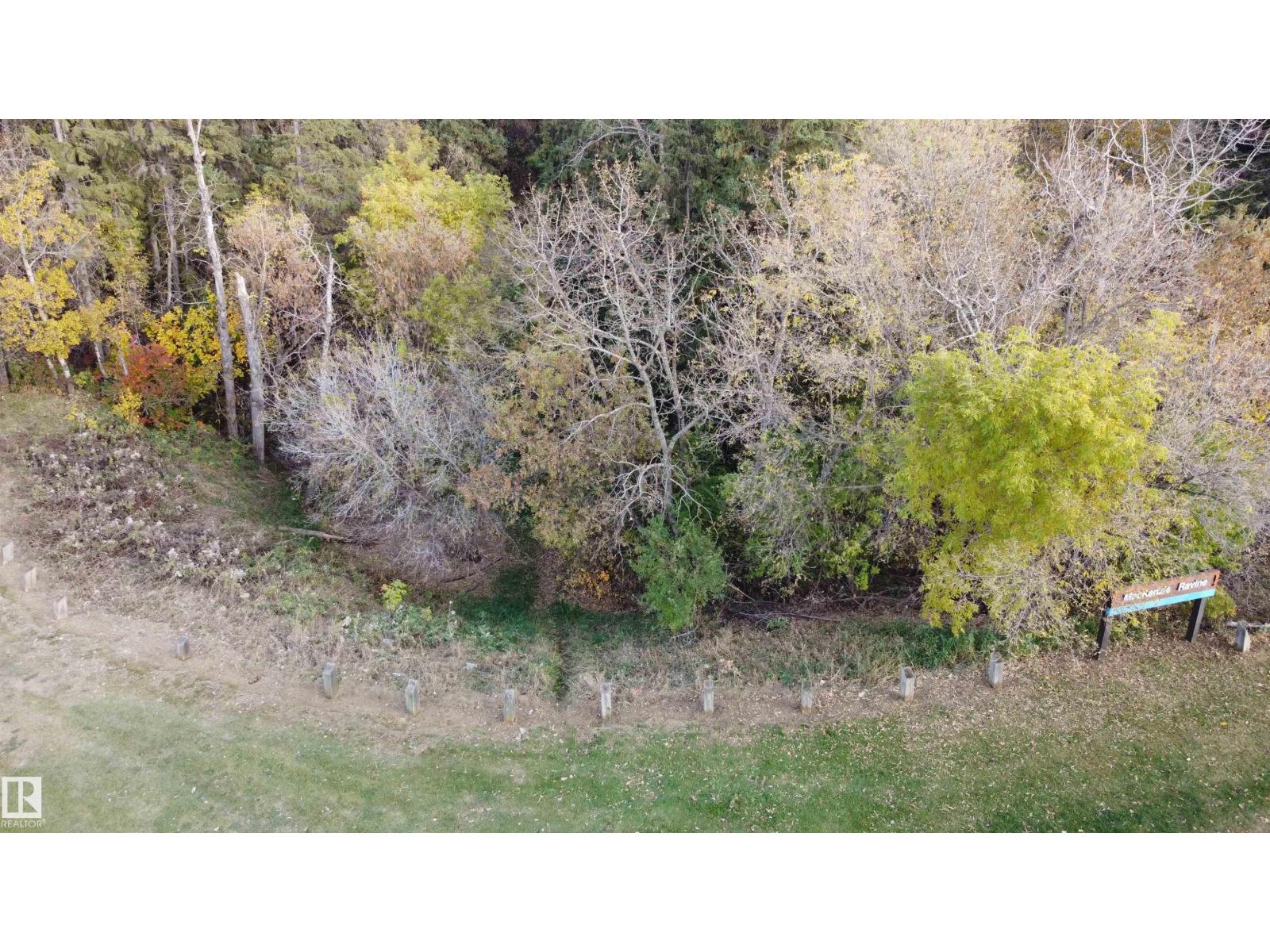 9333 146 St Nw Property Photo 54