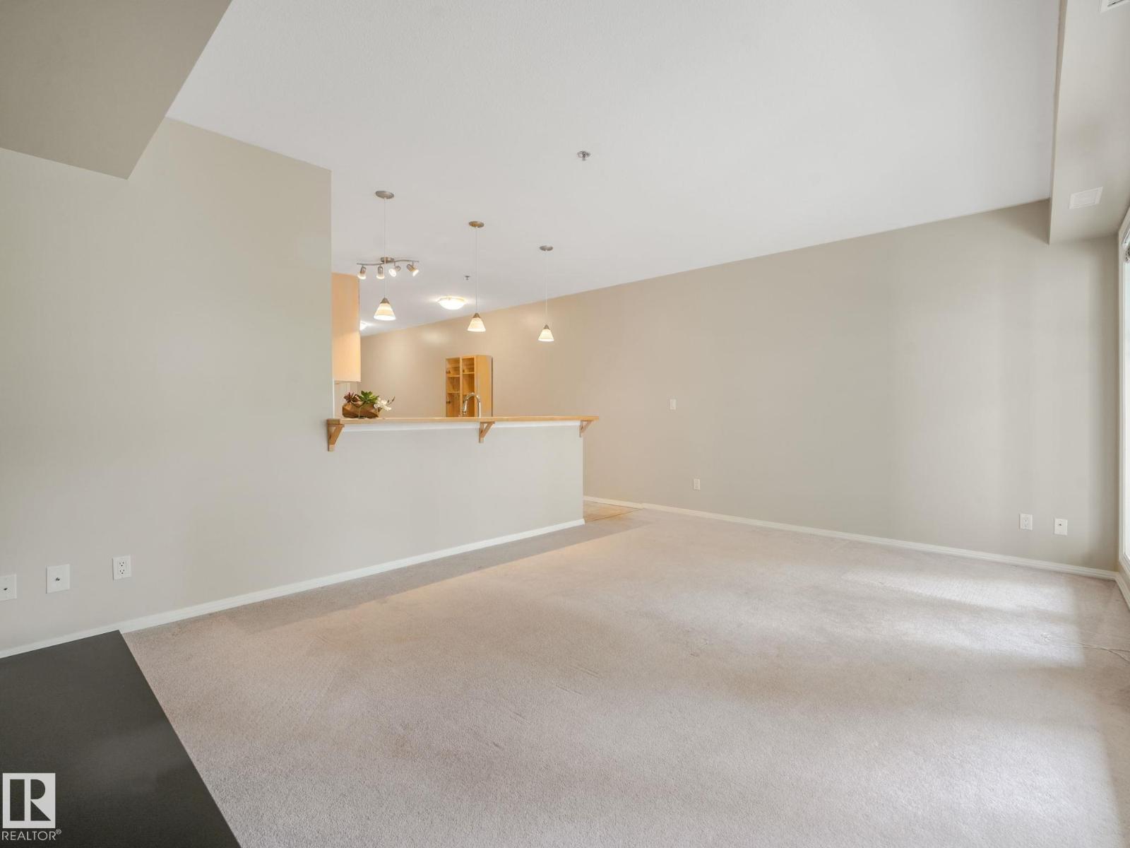 #150 4827 104a St Nw Property Photo 13
