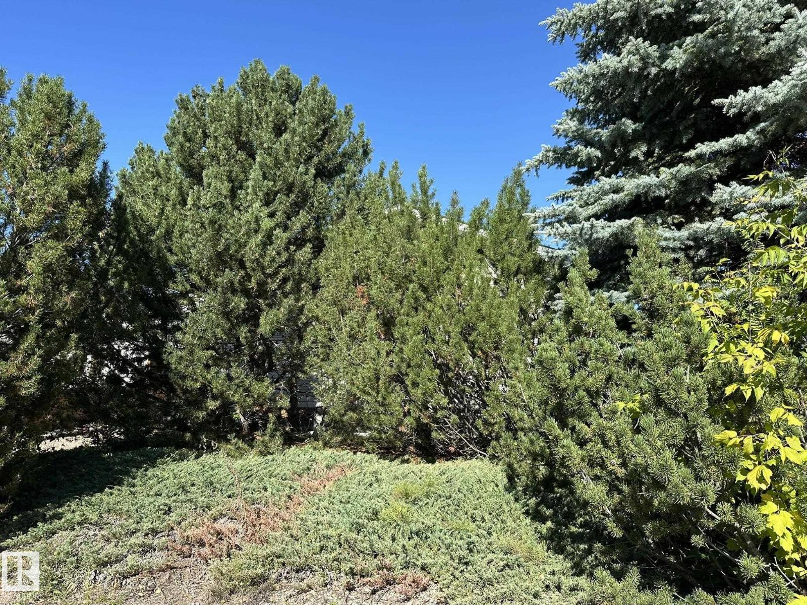 5412 43 St Property Photo 4