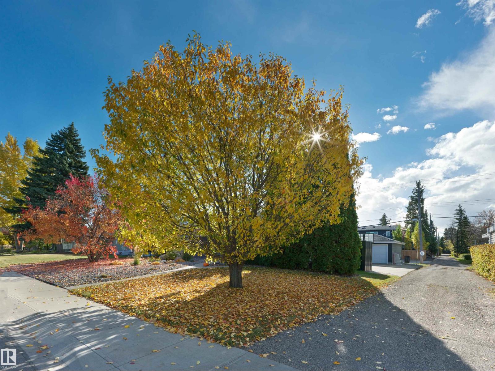 14527 86 Av Nw Property Photo 25