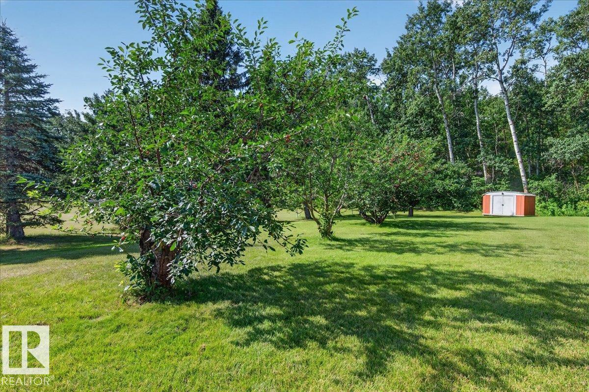 254009 Twp Road 460 Property Photo 41
