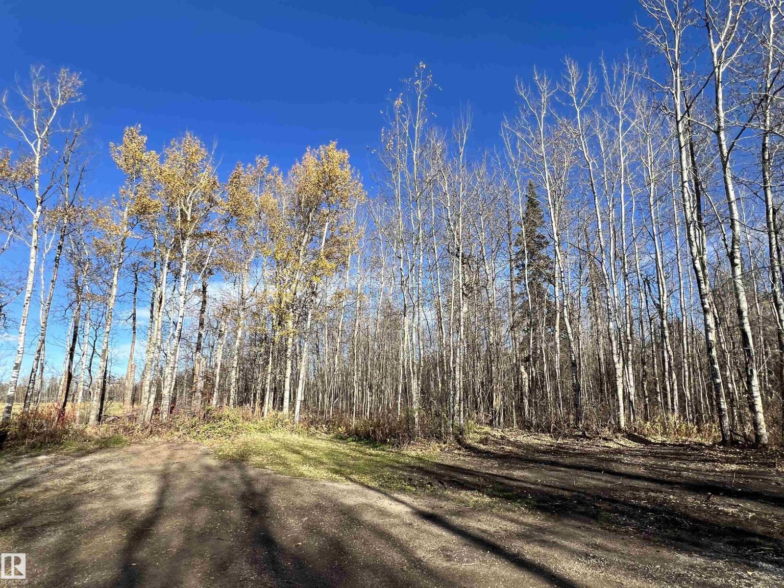 3314 Rail Grade Rd Property Photo 27