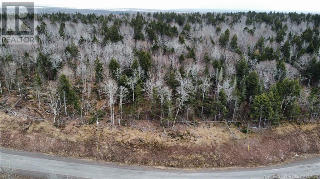 Lot 21-56 Orchard Avenue Property Photo 2