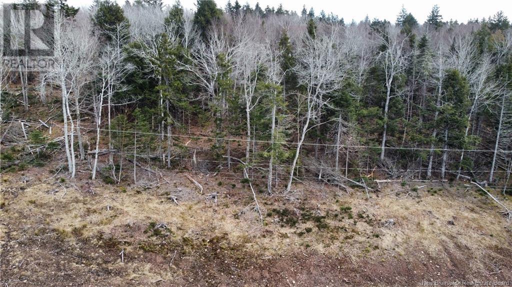 Lot 21-56 Orchard Avenue Property Photo 3
