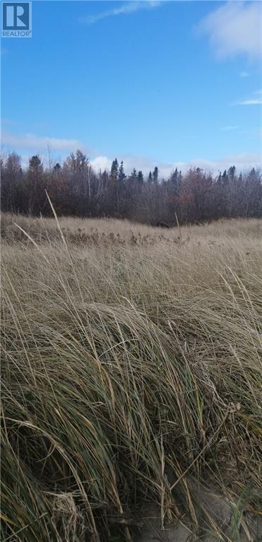Lot Route 117 Property Photo 5
