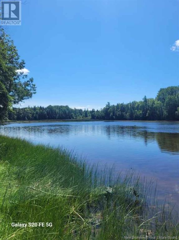 Lot 21-4 Route 495 Property Photo 2