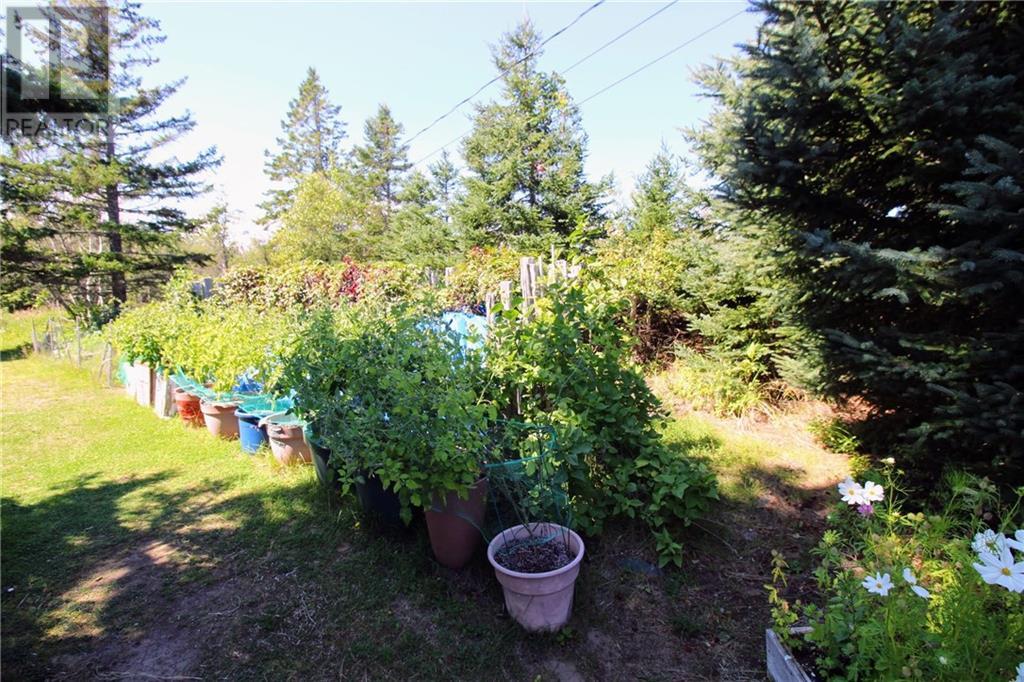 82 Sylvain Property Photo 29