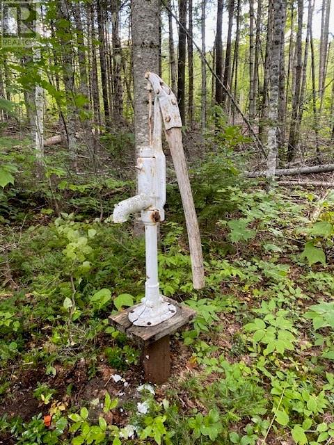 Camp Berry Road Property Photo 4