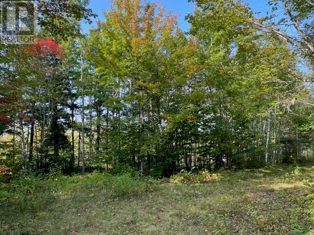 Camp Berry Road Property Photo 12