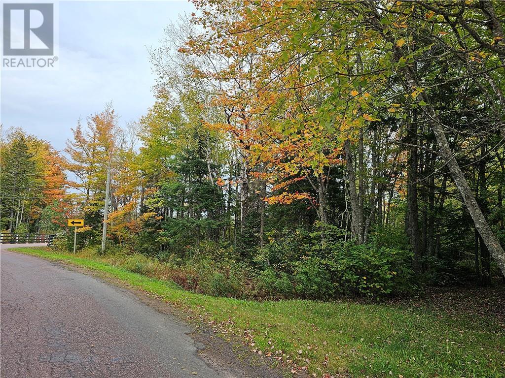 Lot Maclean Cross Road Property Photo 2