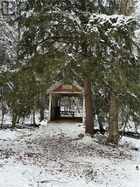 255 Niagara Road Property Photo 3