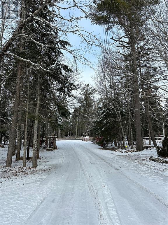 255 Niagara Road Property Photo 31