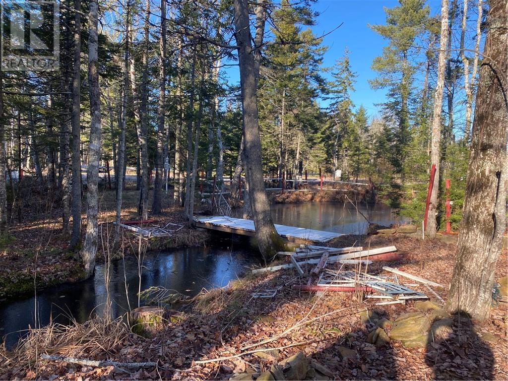 255 Niagara Road Property Photo 39
