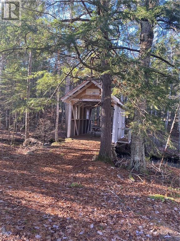 255 Niagara Road Property Photo 48