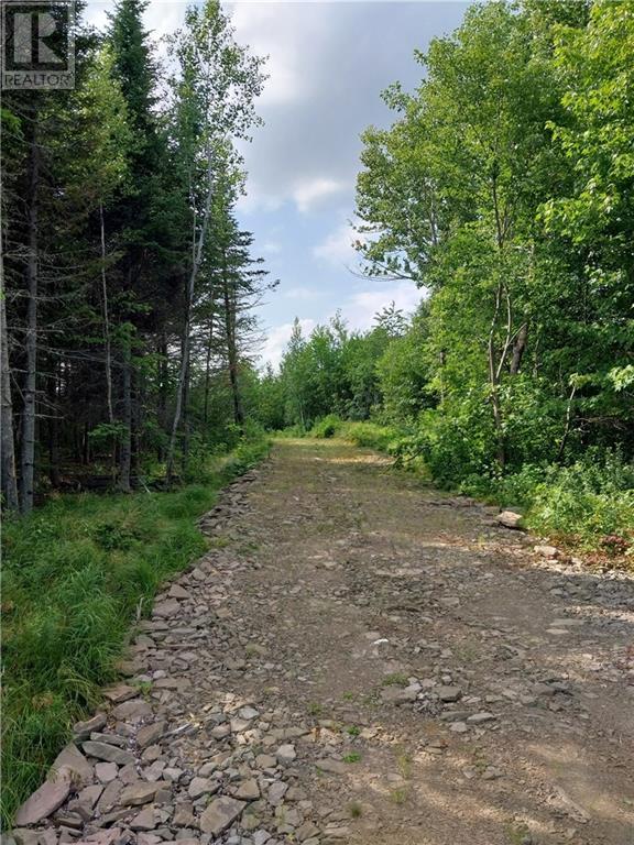 7560 Route 515 Property Photo 2