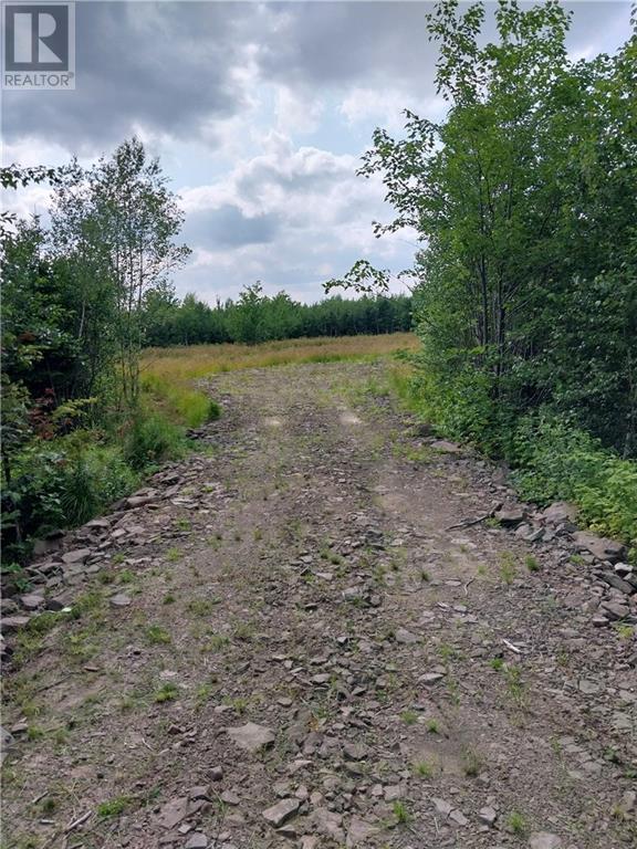 7560 Route 515 Property Photo 4