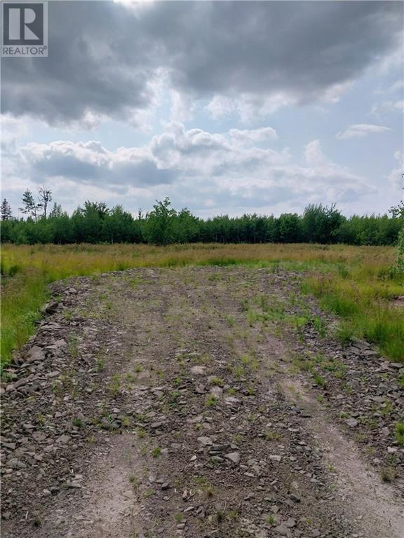 7560 Route 515 Property Photo 5