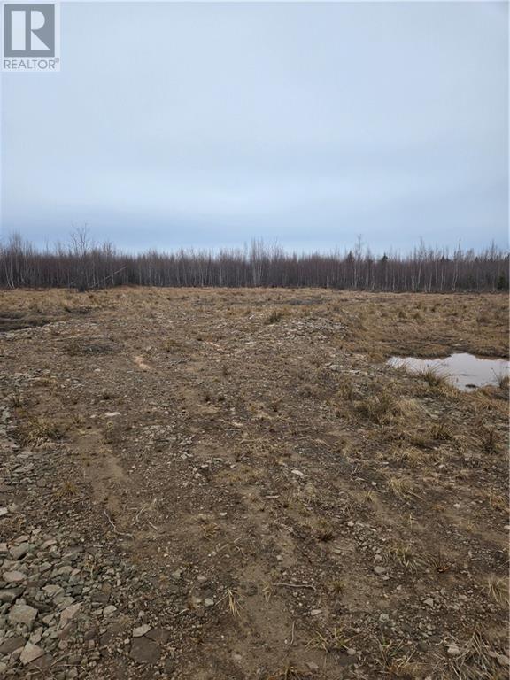 7560 Route 515 Property Photo 9