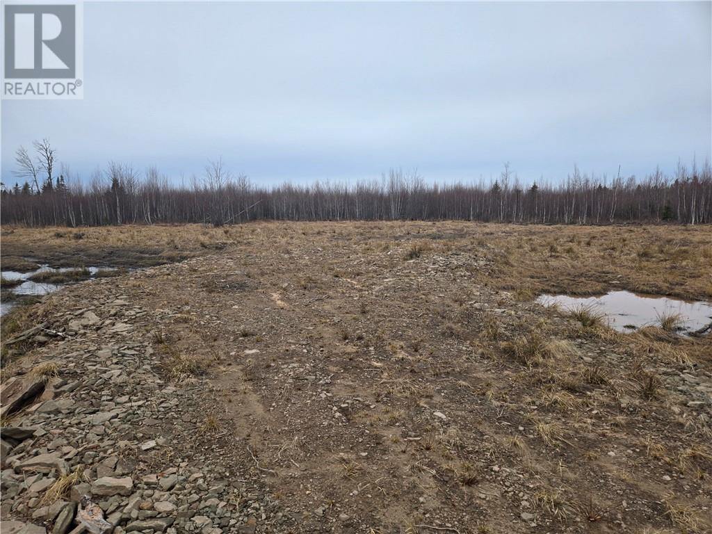 7560 Route 515 Property Photo 10
