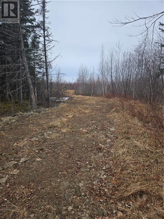 7560 Route 515 Property Photo 11