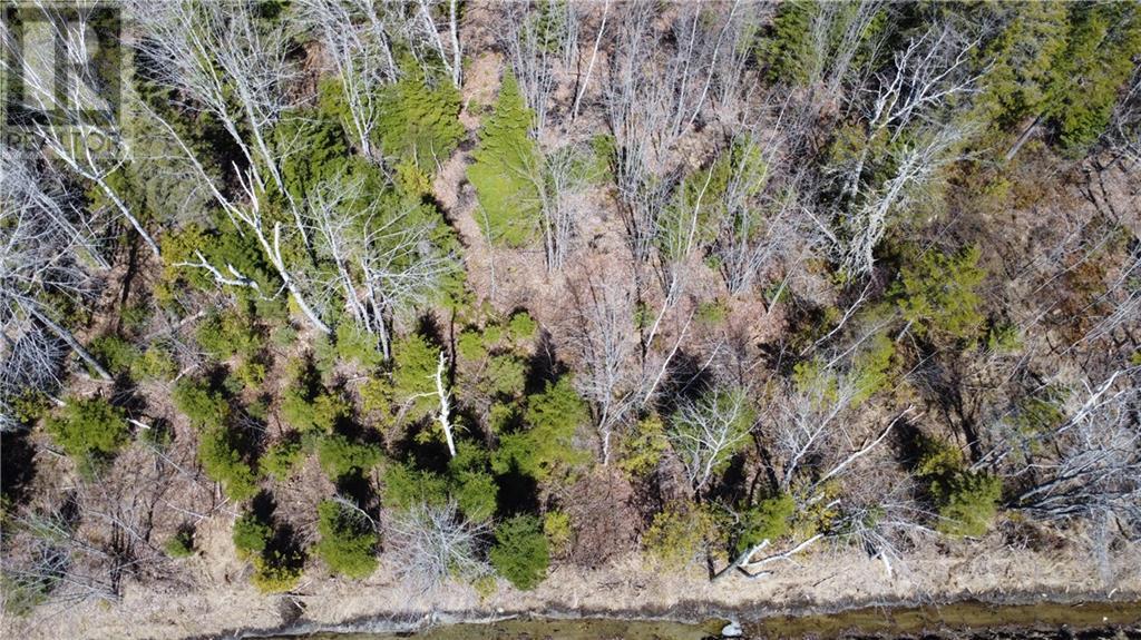 Lot Saint-pierre Road Property Photo 3