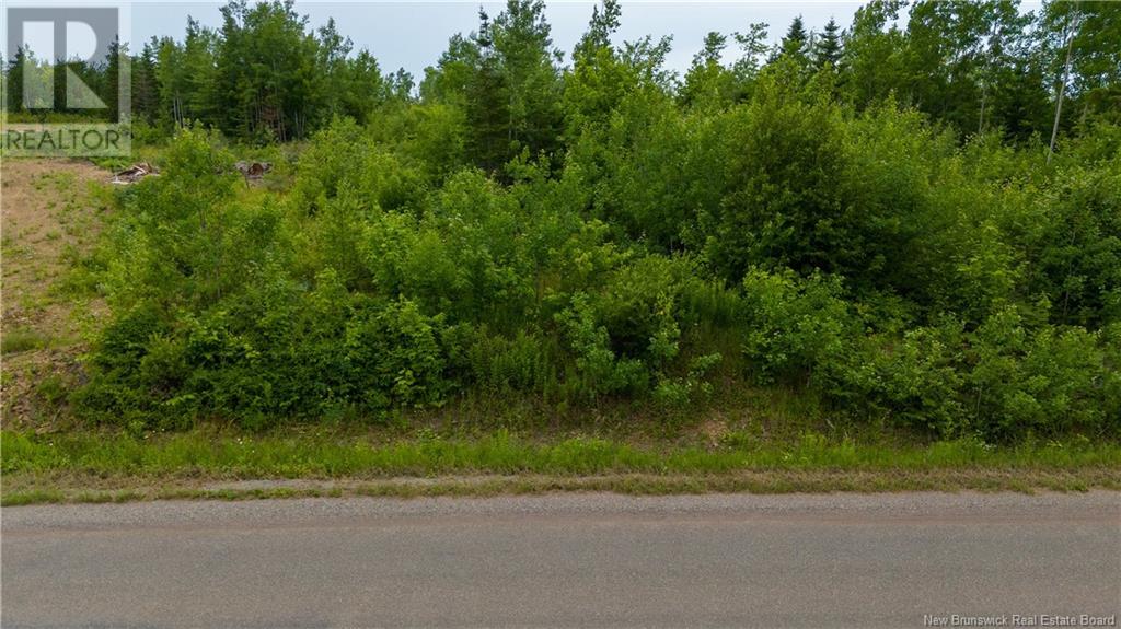 Lot 24-2 Route 895 Property Photo 11