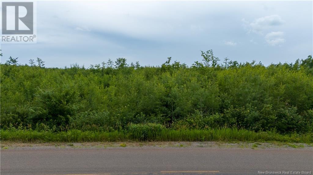 Lot 24-2 Route 895 Property Photo 14