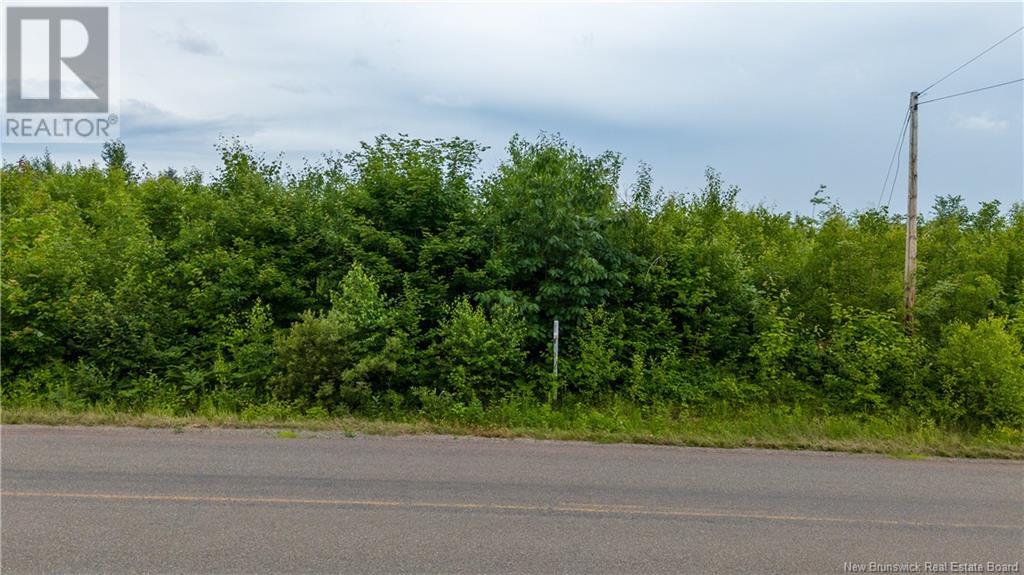 Lot 24-2 Route 895 Property Photo 15