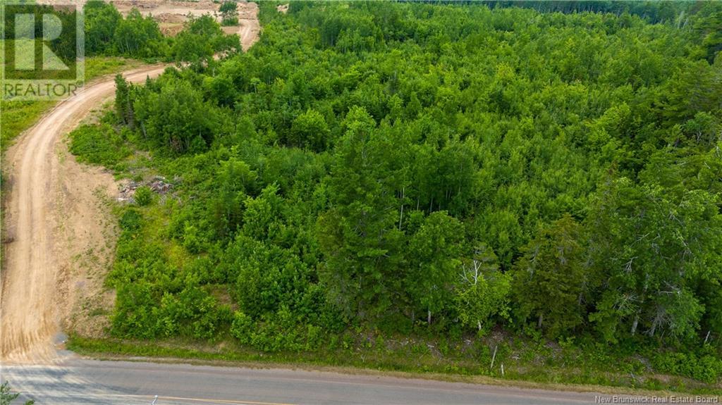 Lot 24-4 Route 895 Property Photo 3