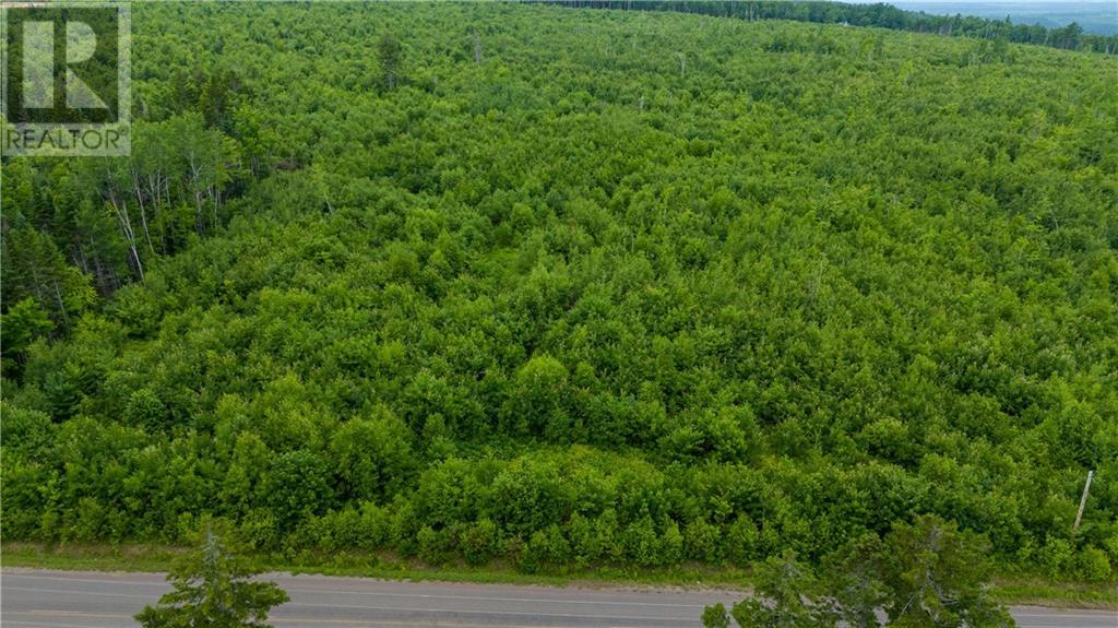 Lot 24-5 Route 895 Property Photo 8
