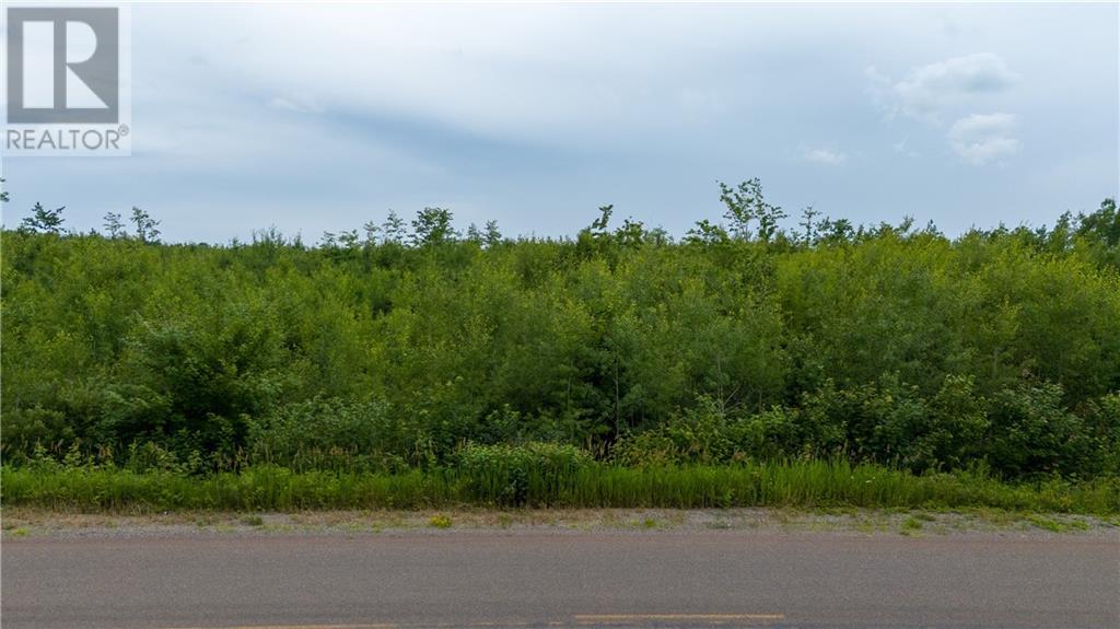 Lot 24-5 Route 895 Property Photo 15