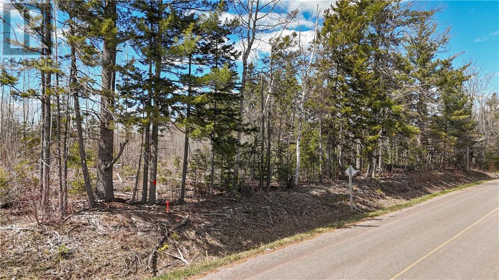 Lot 24-5 Route 895 Property Photo 23