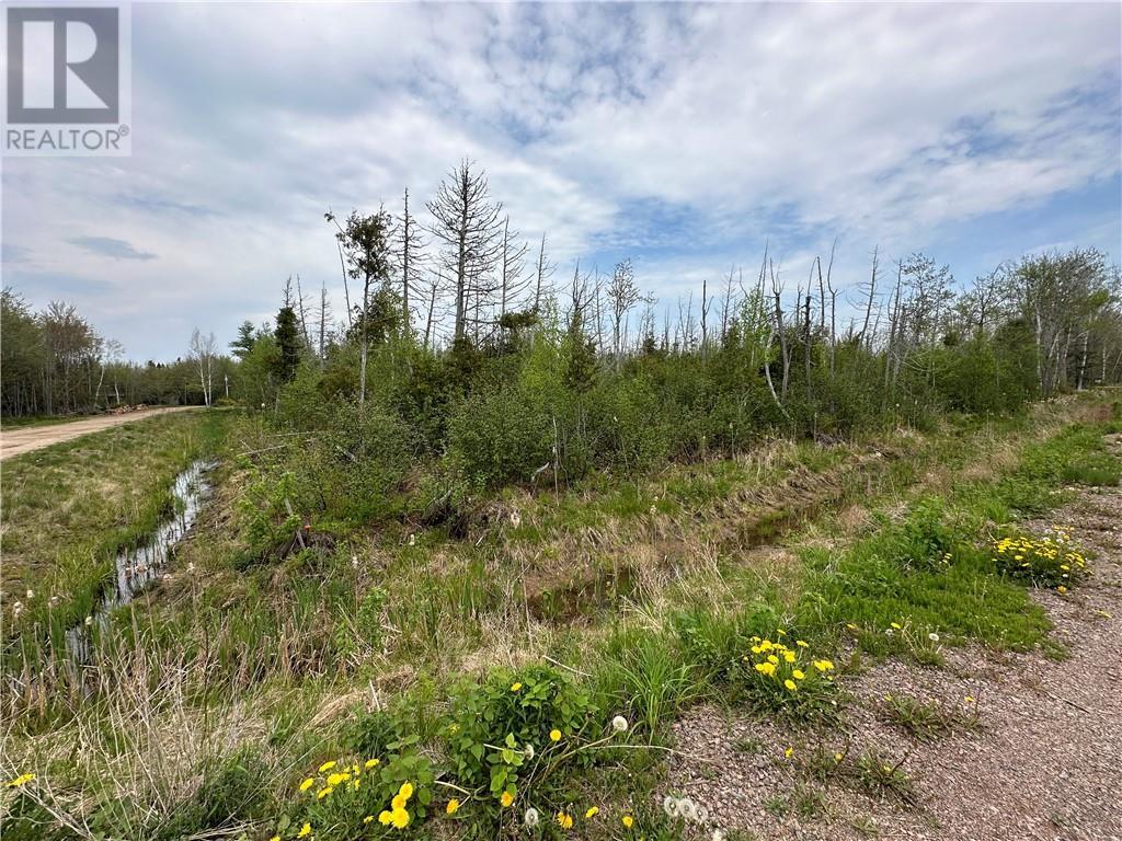 Lot 75-11 Gite Property Photo 1