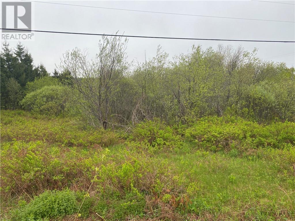 Lot Will Rogers Road Property Photo 2