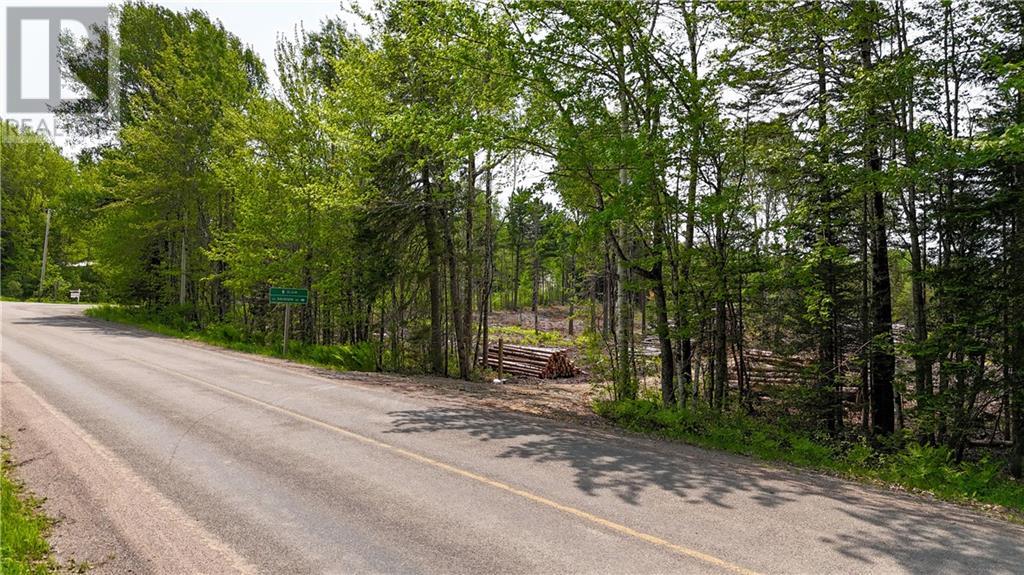 Lot 2 Route 895 Property Photo 1